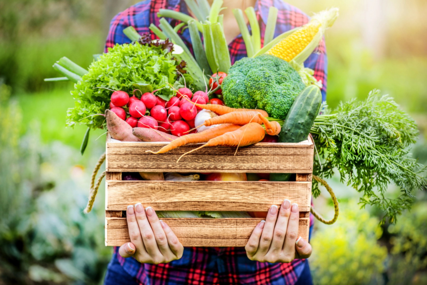 Top-Lagerfrüchte: Wie man Obst und Gemüse lagert