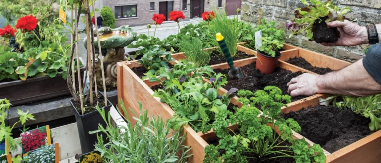 Jardinería de alta intensidad