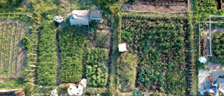 Planifier votre parcelle de permaculture