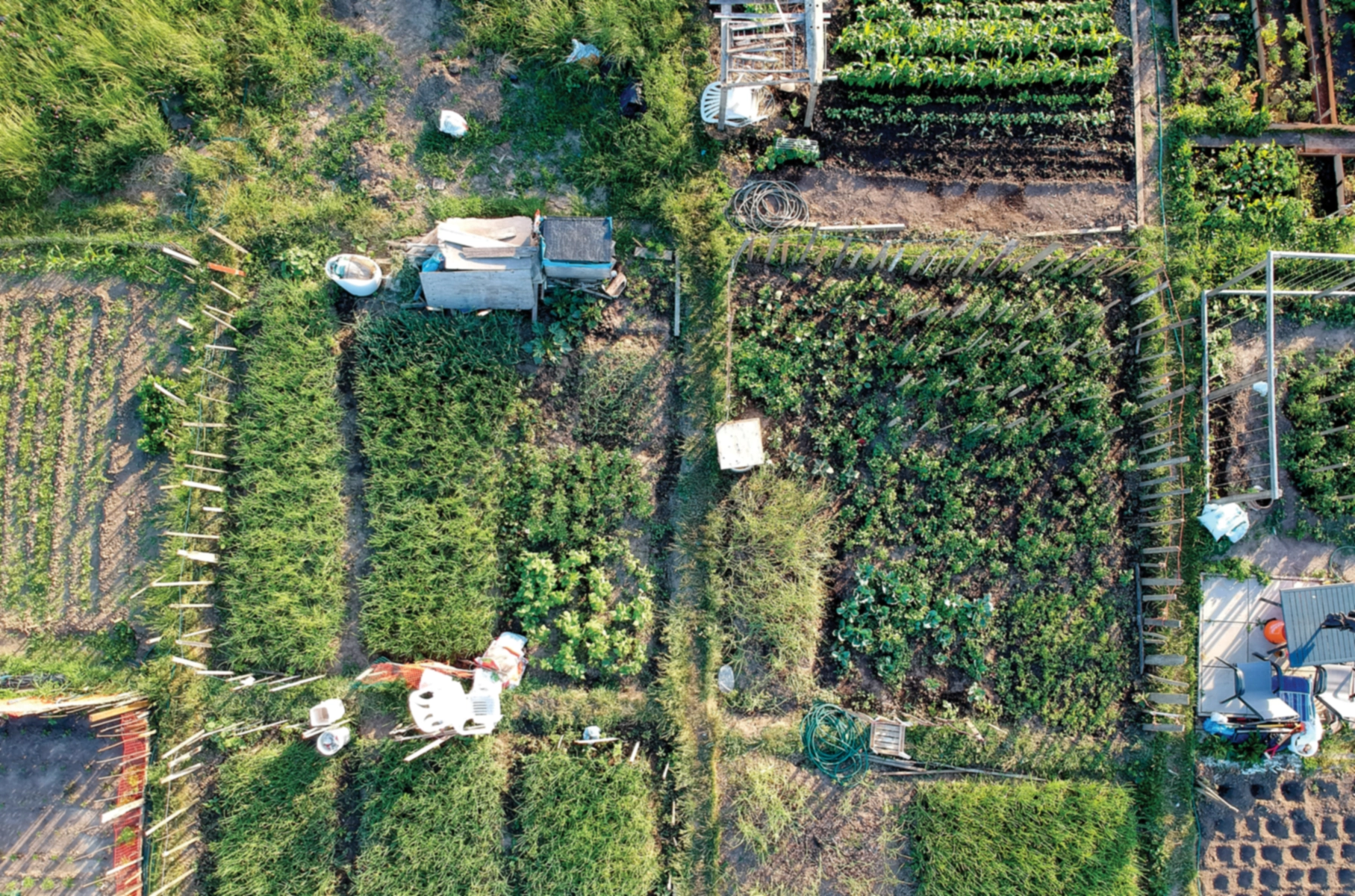 Planifier votre parcelle de permaculture