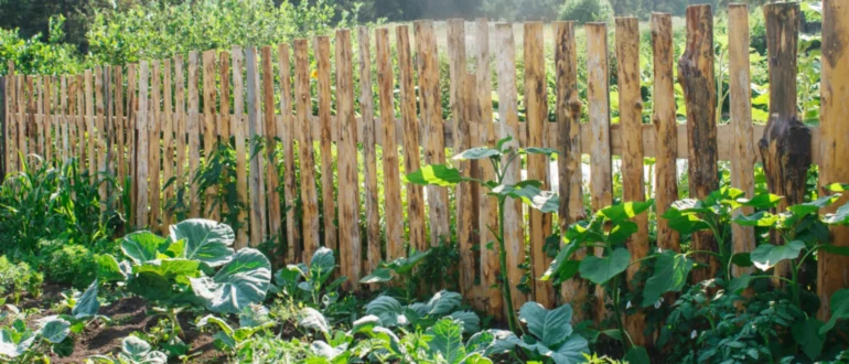 Wählen Sie den besten Gartenzaun