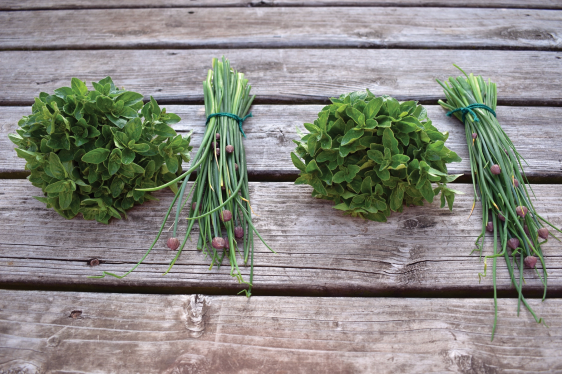 Rempah-rempah tersehat: Daun bawang dan Oregano